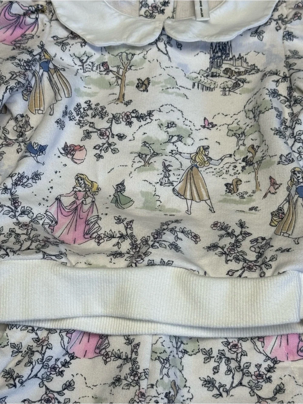 Disney Aurora Toile Sweatshirt & Jogger SZ 6-12 months